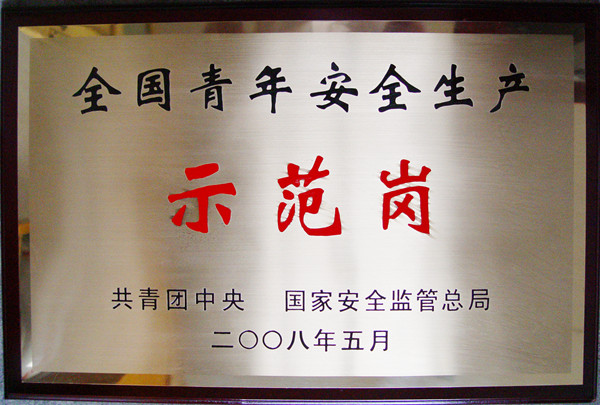 全国青年安全生产示范岗.JPG