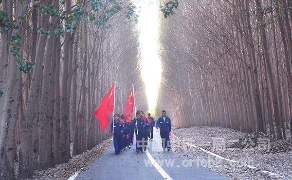 健步走在林荫小道 健步走在林荫小道