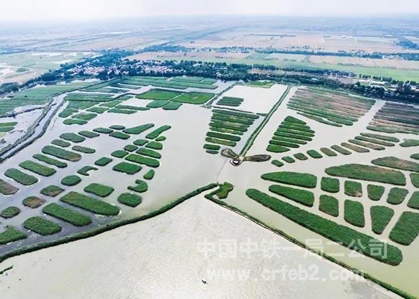 唐河入淀口湿地保护项目 唐河入淀口湿地保护项目